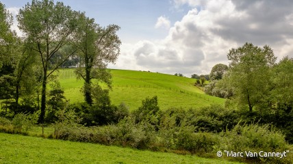 Babbel- en knabbelwandeling in de Vlaamse Ardennen